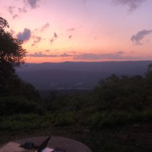 Meet your Posher, Terry